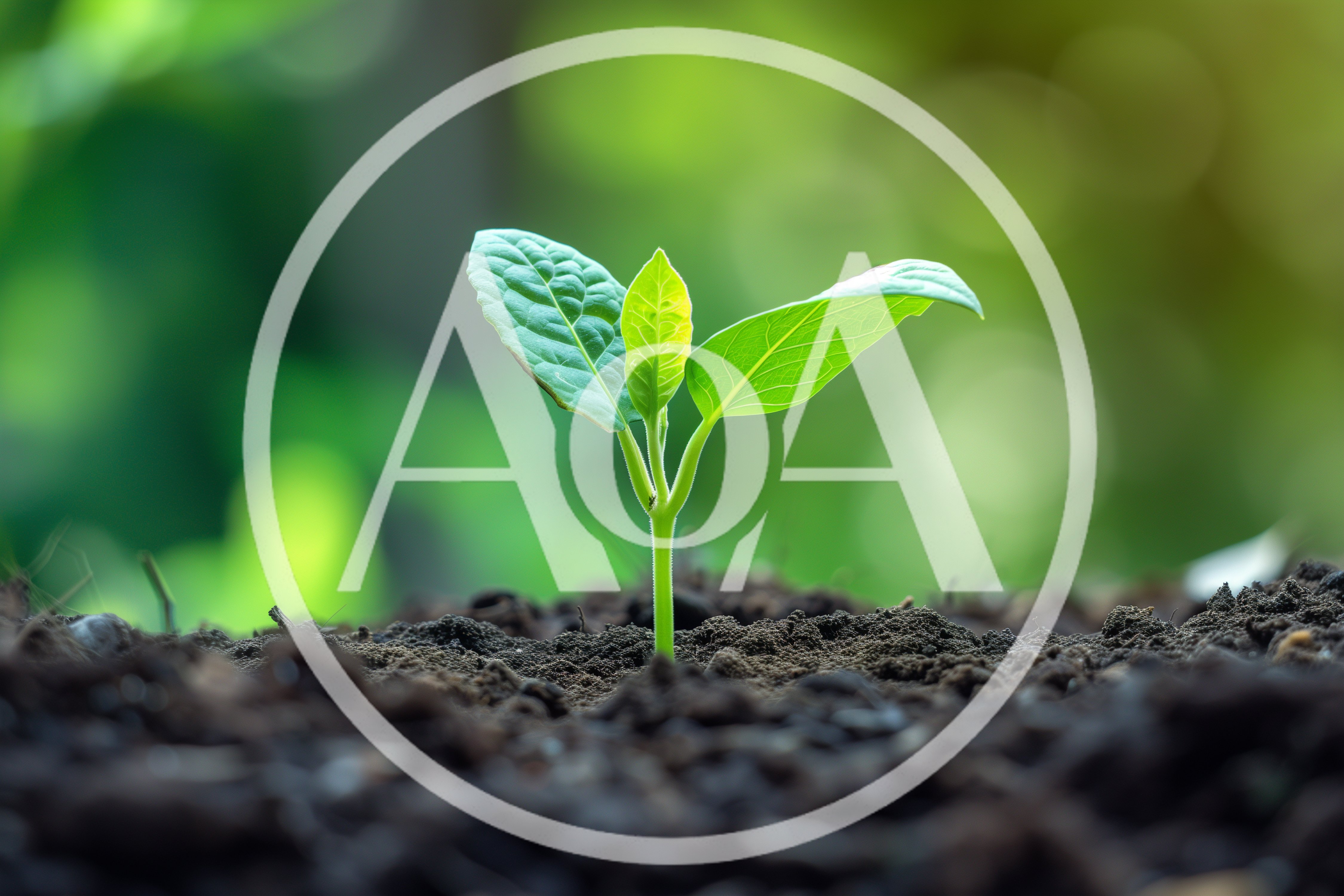 Small Green Seedling Growing From Fertile Soil