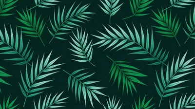Tropical Palm Leaf Pattern On Dark Background