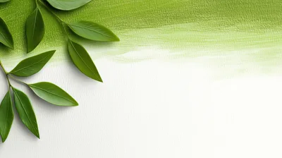 Green Leaves On A Painted Textured Background