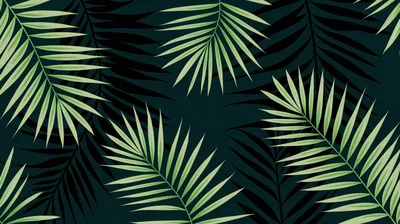 Tropical Palm Leaf Pattern On Dark Background