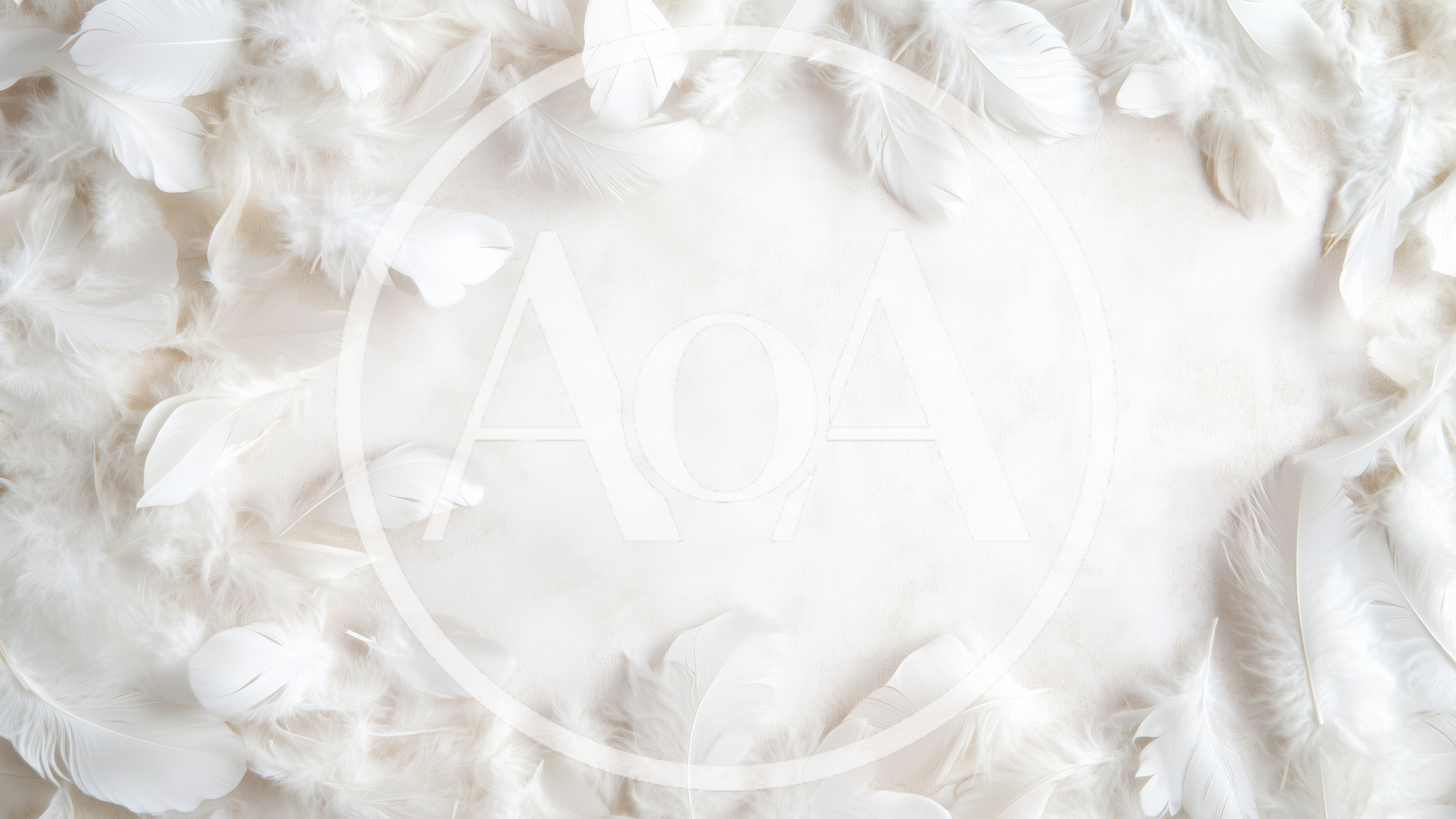 White Feathers Arranged In A Decorative Border
