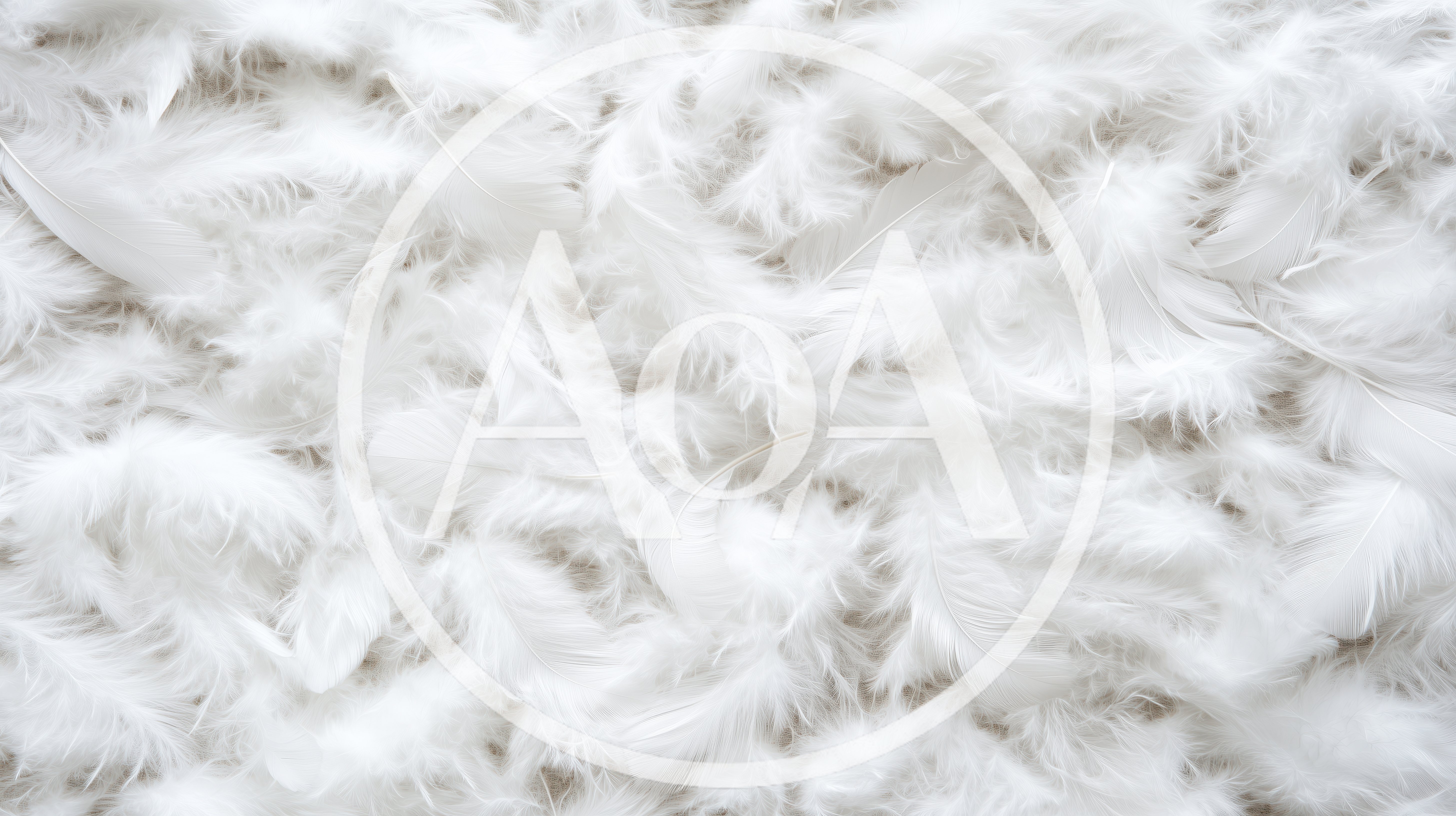 Soft White Feathers Background Texture