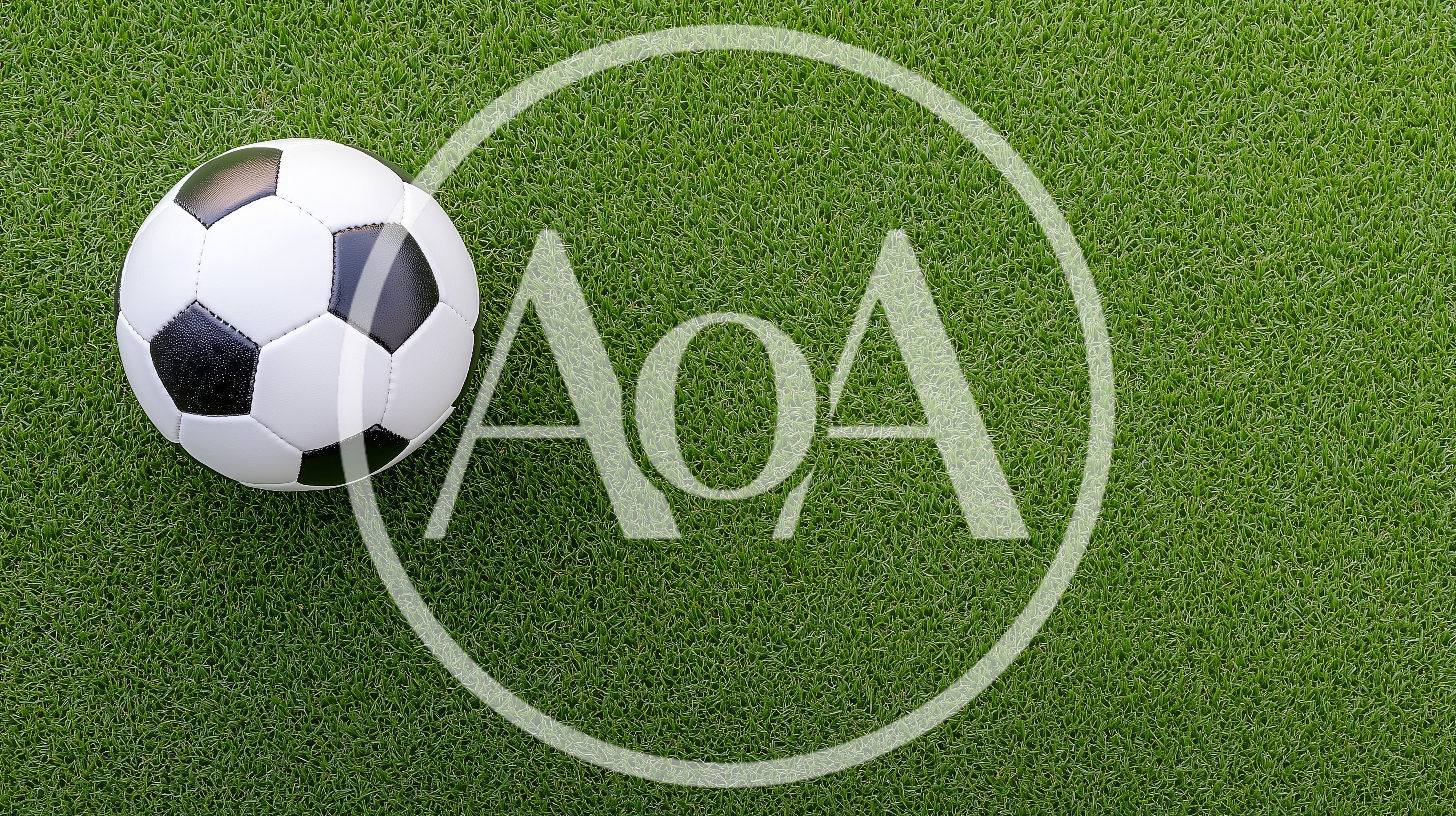 Classic Black and White Soccer Ball on Green Grass