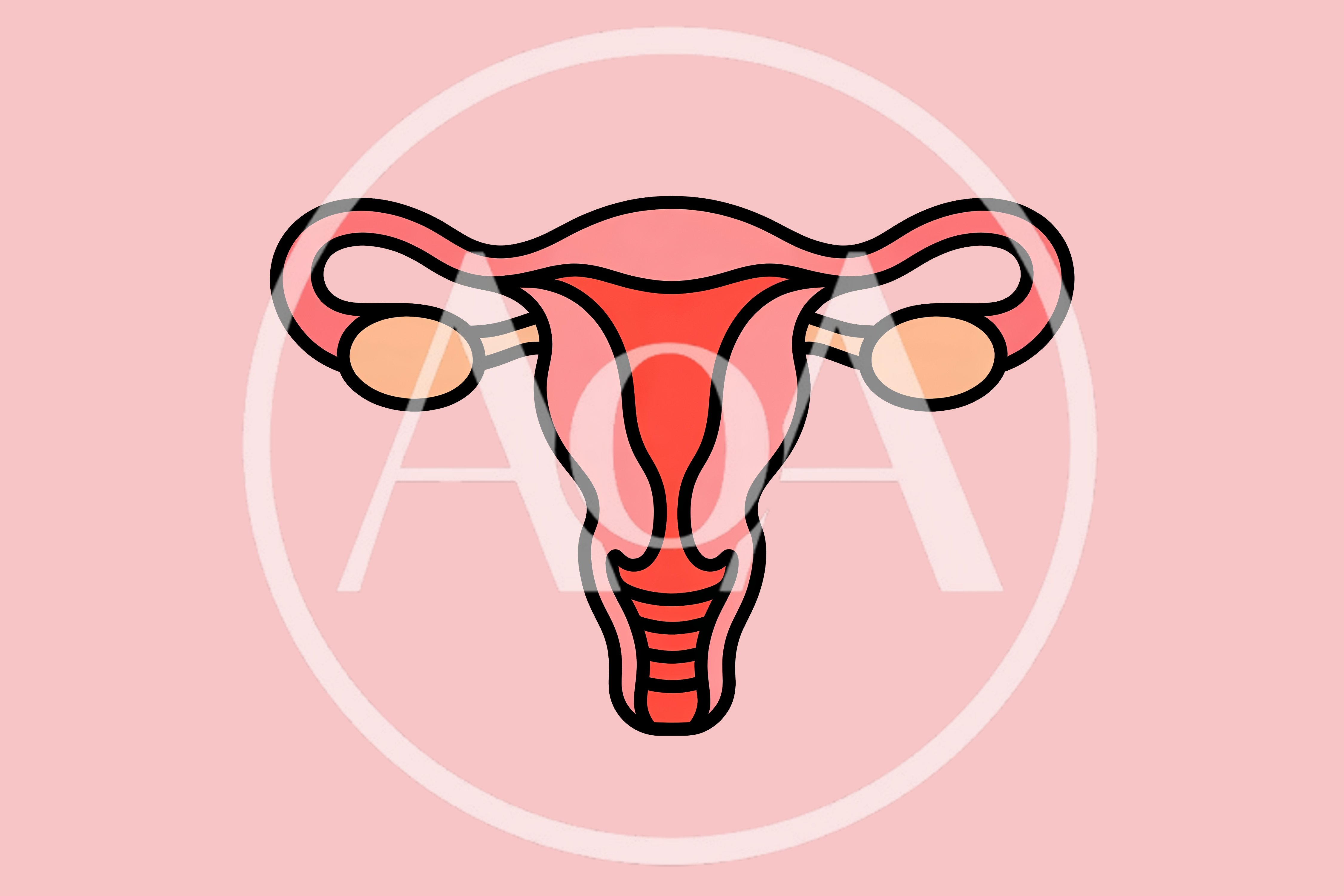 Stylized Illustration Of The Human Female Reproductive System