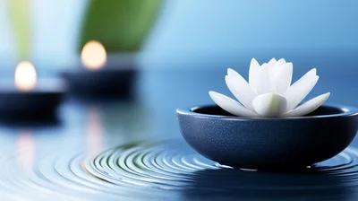 White Lotus Flower Floating In A Zen Bowl