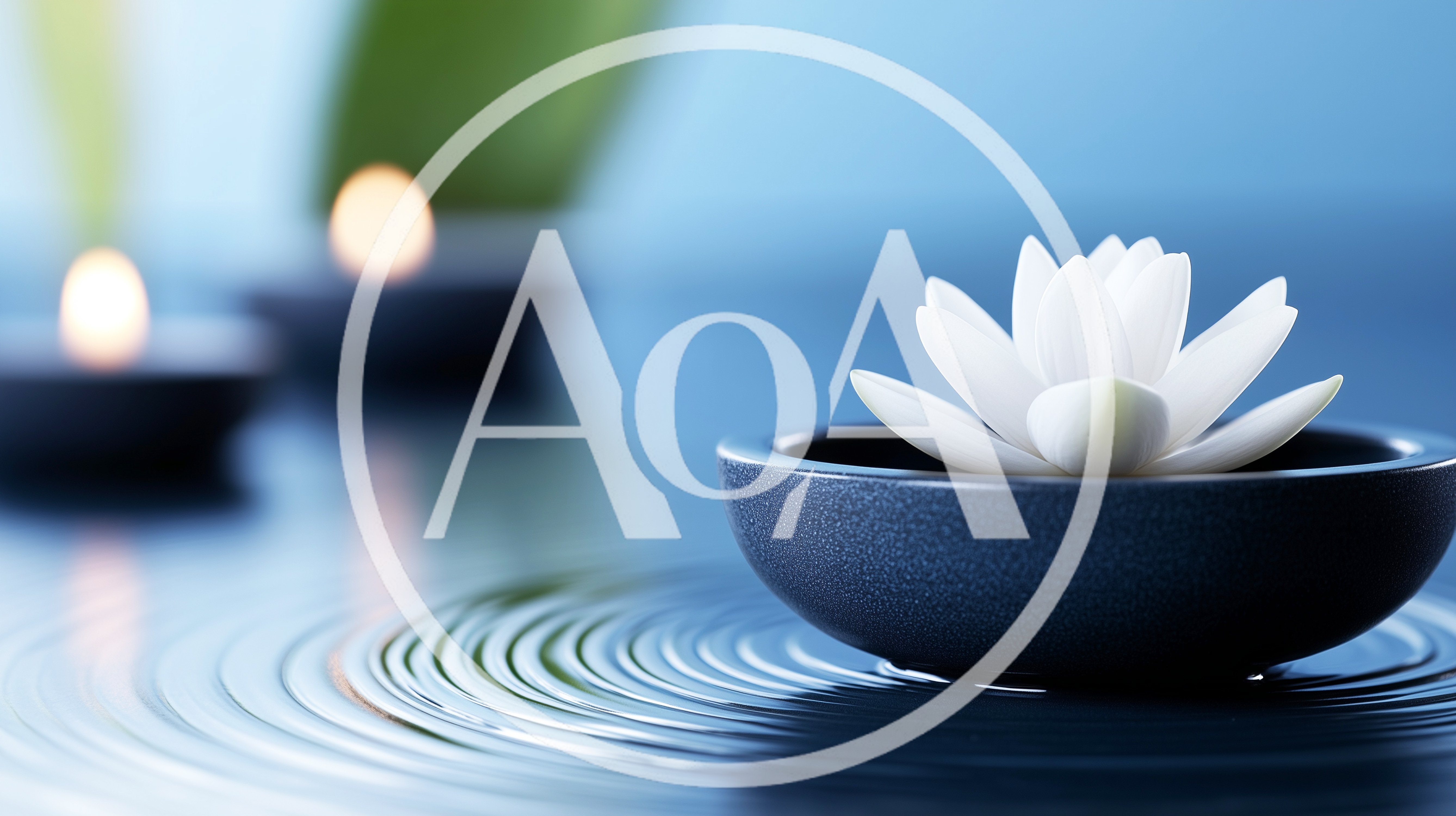White Lotus Flower Floating In A Zen Bowl