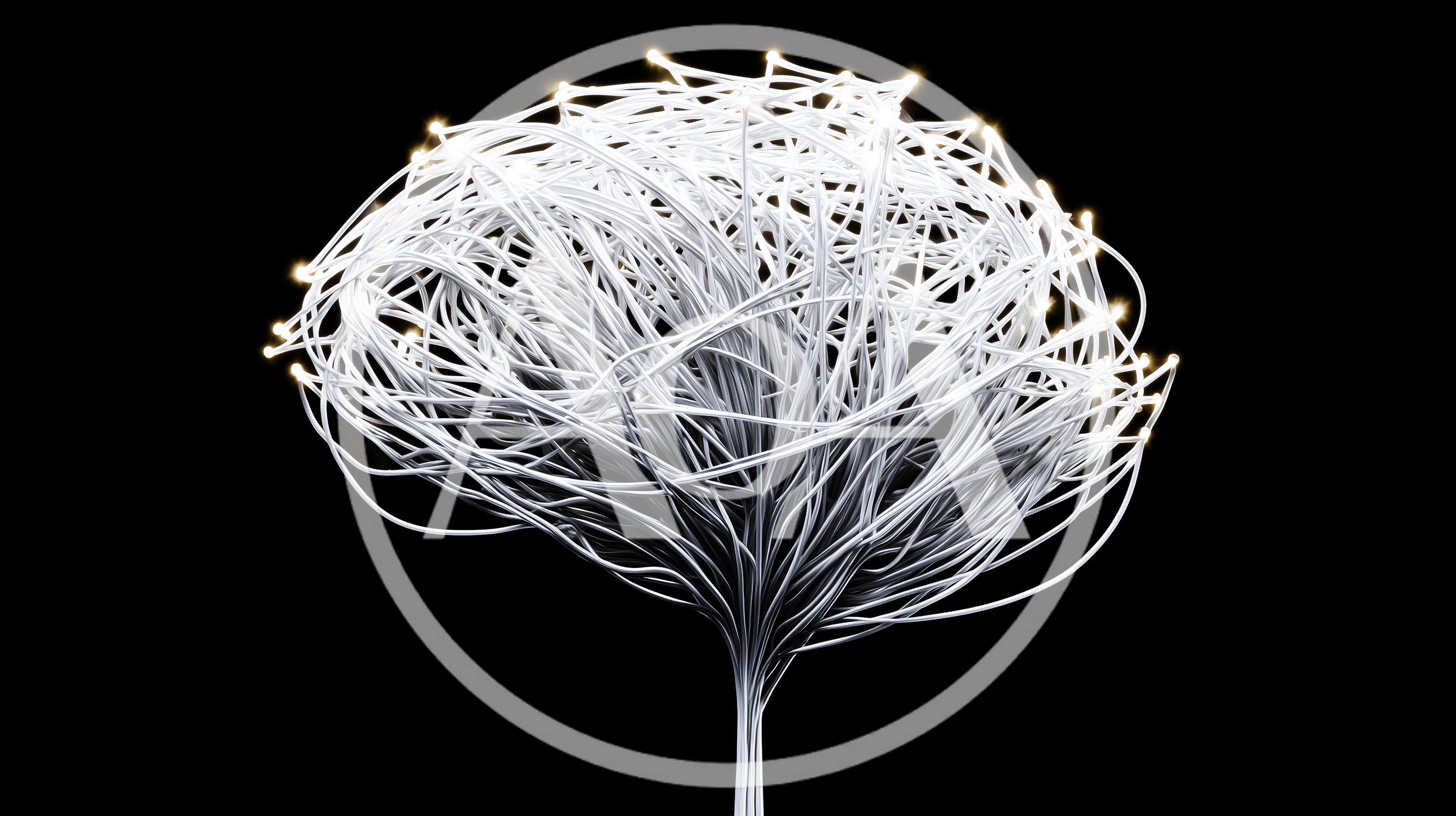 Abstract Digital Neural Network Brain Structure
