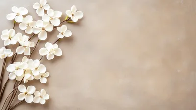 White Magnolia Flowers On A Beige Background
