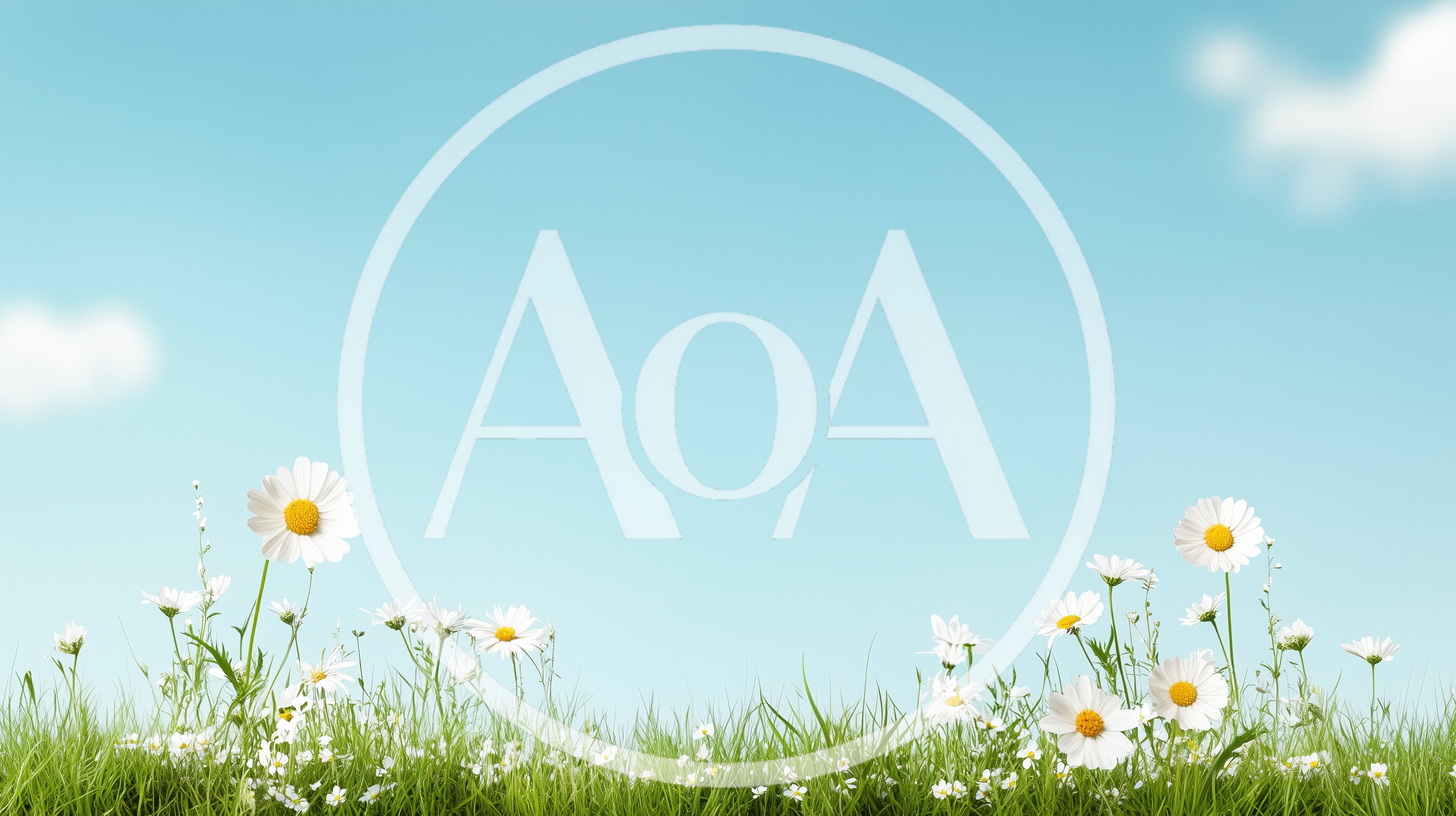 White Daisy Flowers Blooming In A Green Meadow