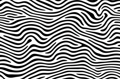 Abstract Black And White Wavy Zebra Stripe Pattern