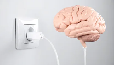 Human Brain Model Connected To Electrical Wall Outlet