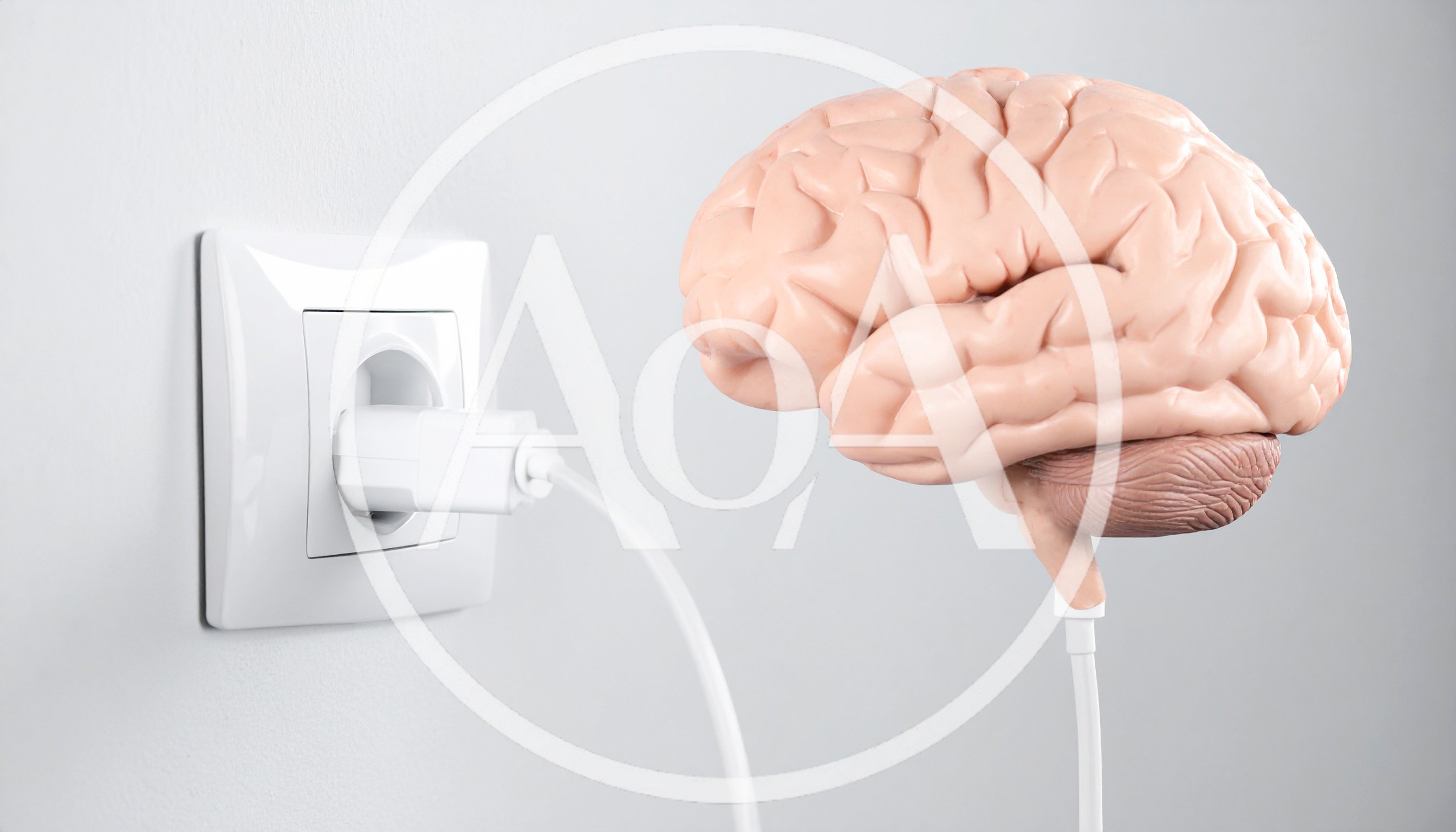 Human Brain Model Connected To Electrical Wall Outlet