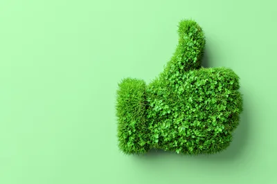 Green Grass Thumb Up Symbol
