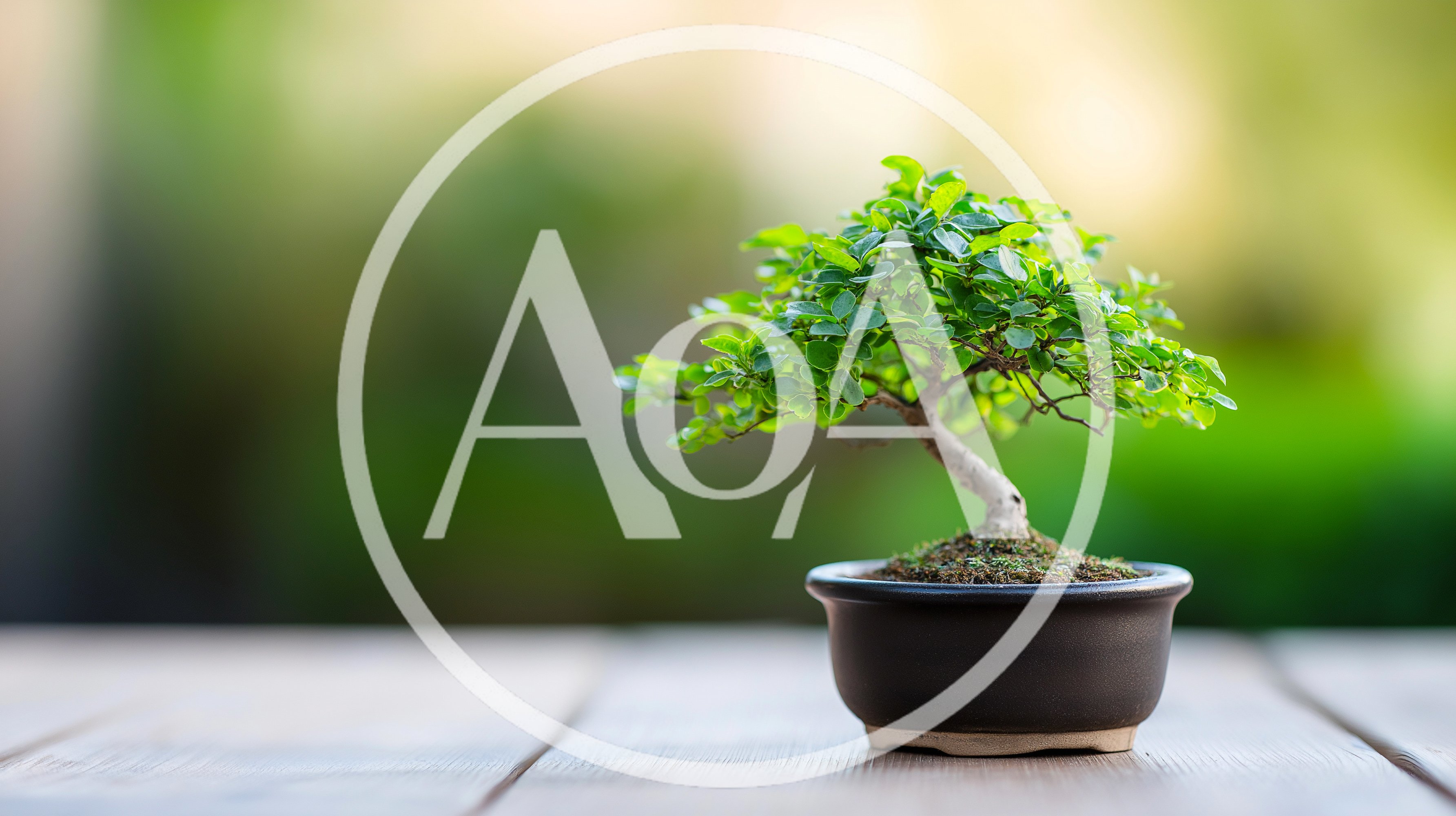 Small Bonsai Tree in Ceramic Pot on Wooden Table