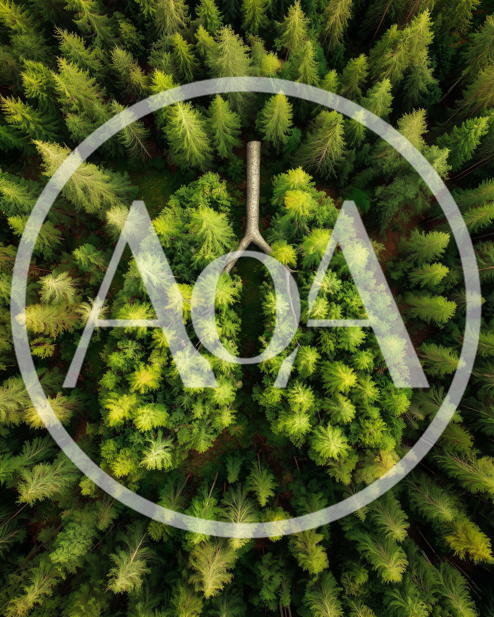 Aerial View Of Forest Shaped Like Human Lungs