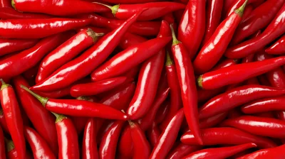 Fresh Red Chili Peppers Background