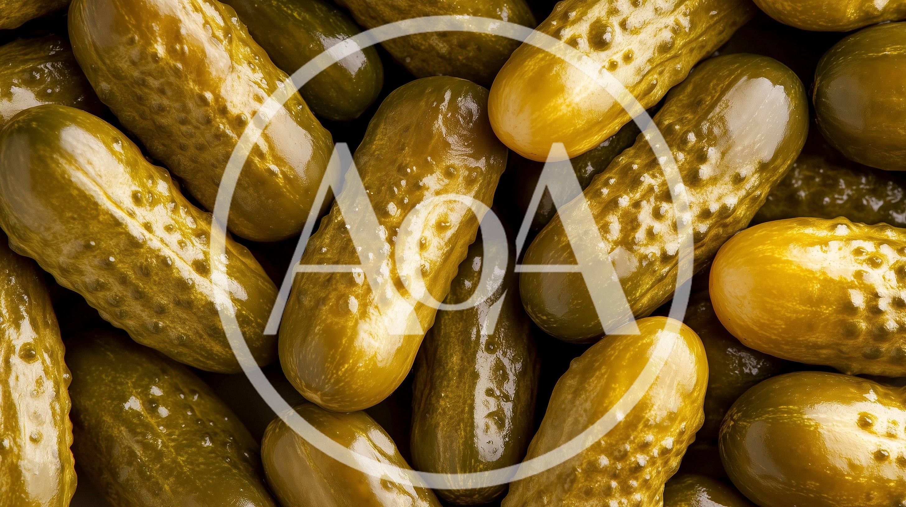 Top Down View Of Fresh Pickled Gherkins