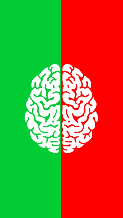 Minimalist Brain Illustration With Split Green And Red Background