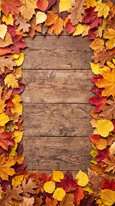 Autumn Leaves Border Frame on Rustic Wooden Background