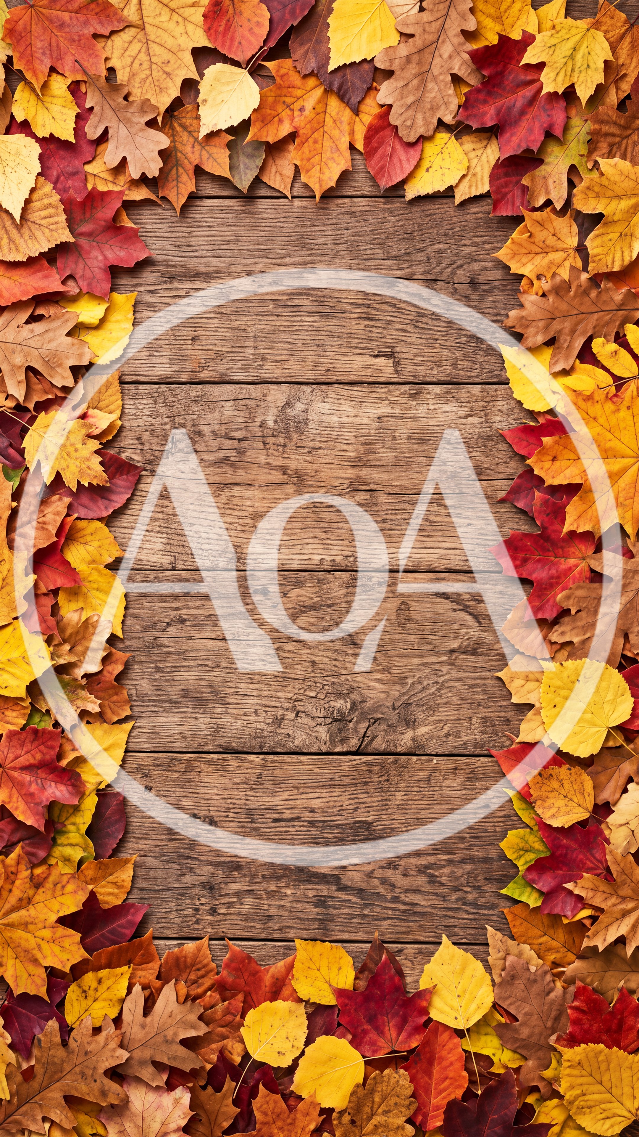 Autumn Leaves Border Frame on Rustic Wooden Background