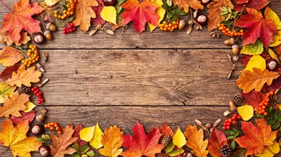 Autumn Leaves Border Frame On Rustic Wooden Background
