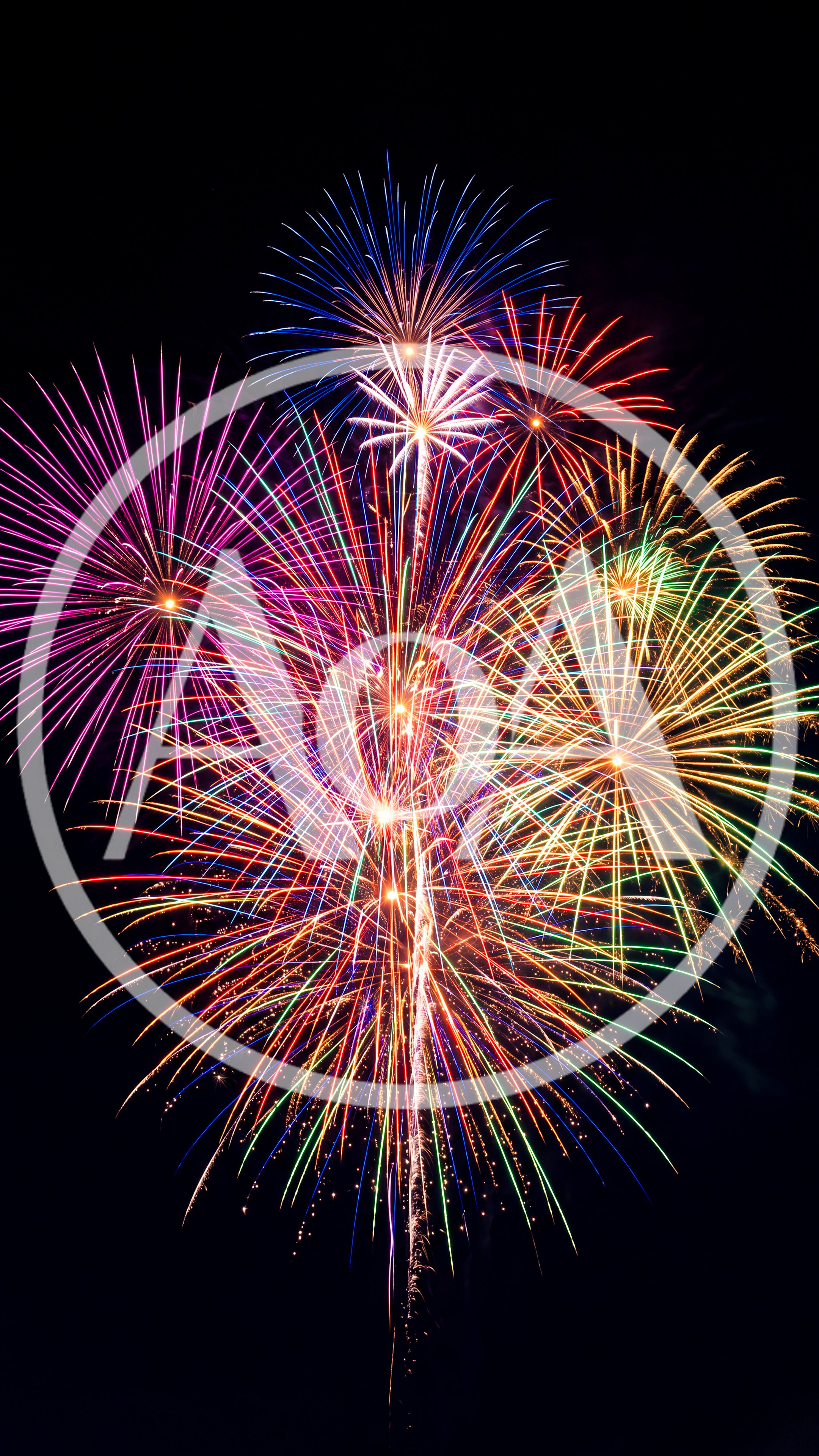 Vibrant Multi-Colored Fireworks Display Against Night Sky
