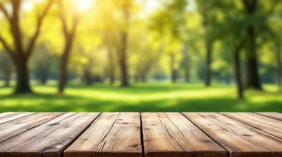 Rustic Wooden Table Surface In Sunny Park