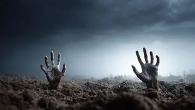 Zombie Hands Emerging From Dark Soil