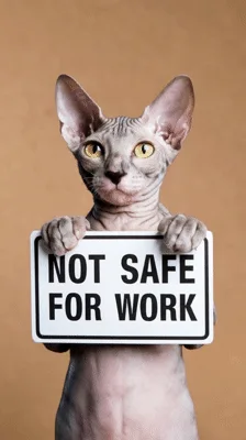 Sphynx Cat Holding A Not Safe For Work Sign