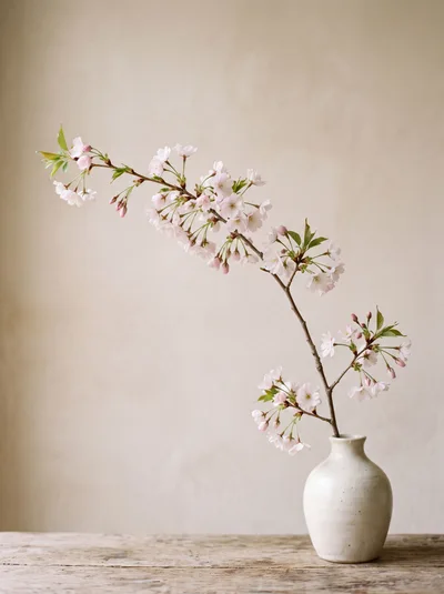 Cherry Blossom Branch in a Minimalist Ceramic Vase
