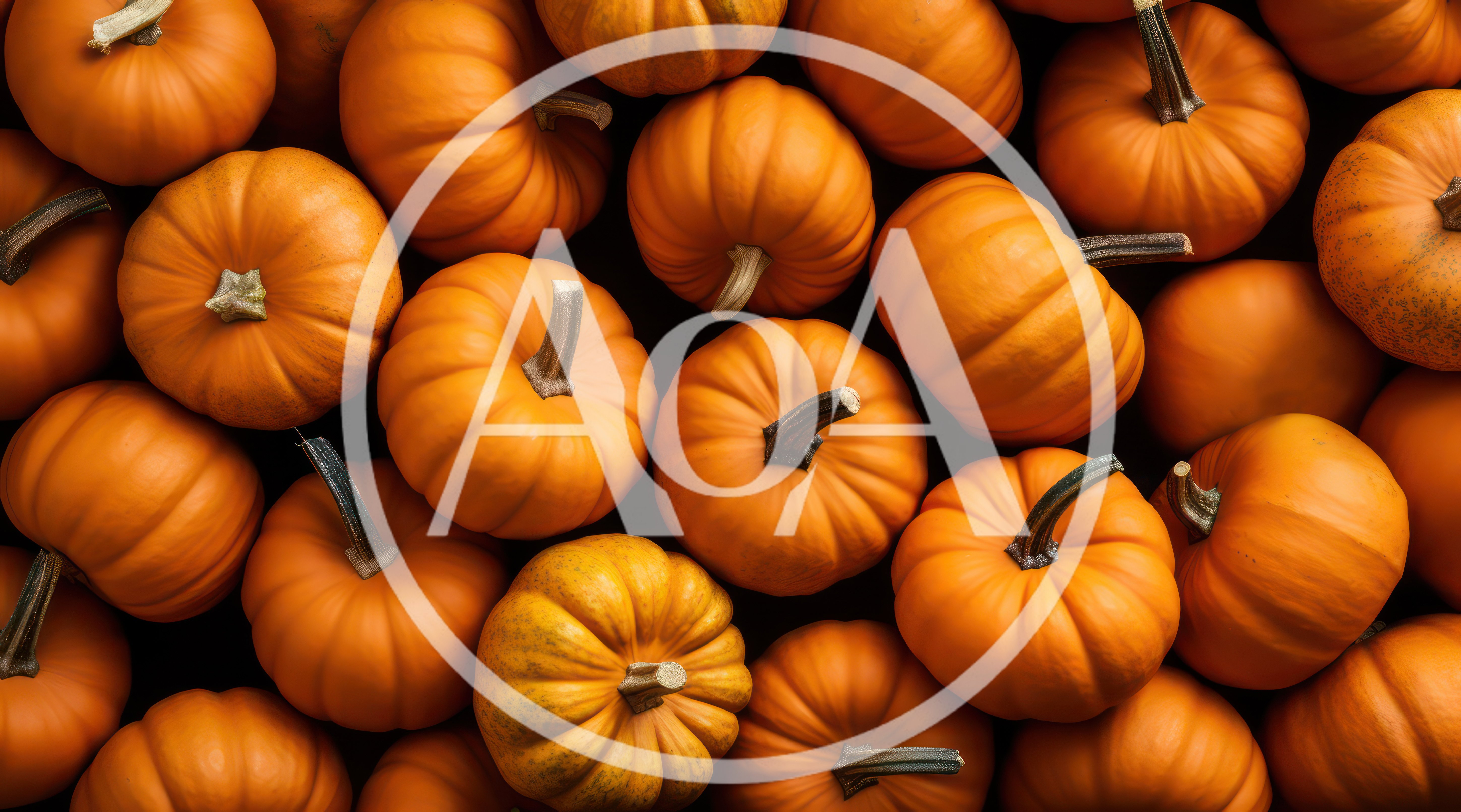 Top View Of Many Fresh Orange Pumpkins