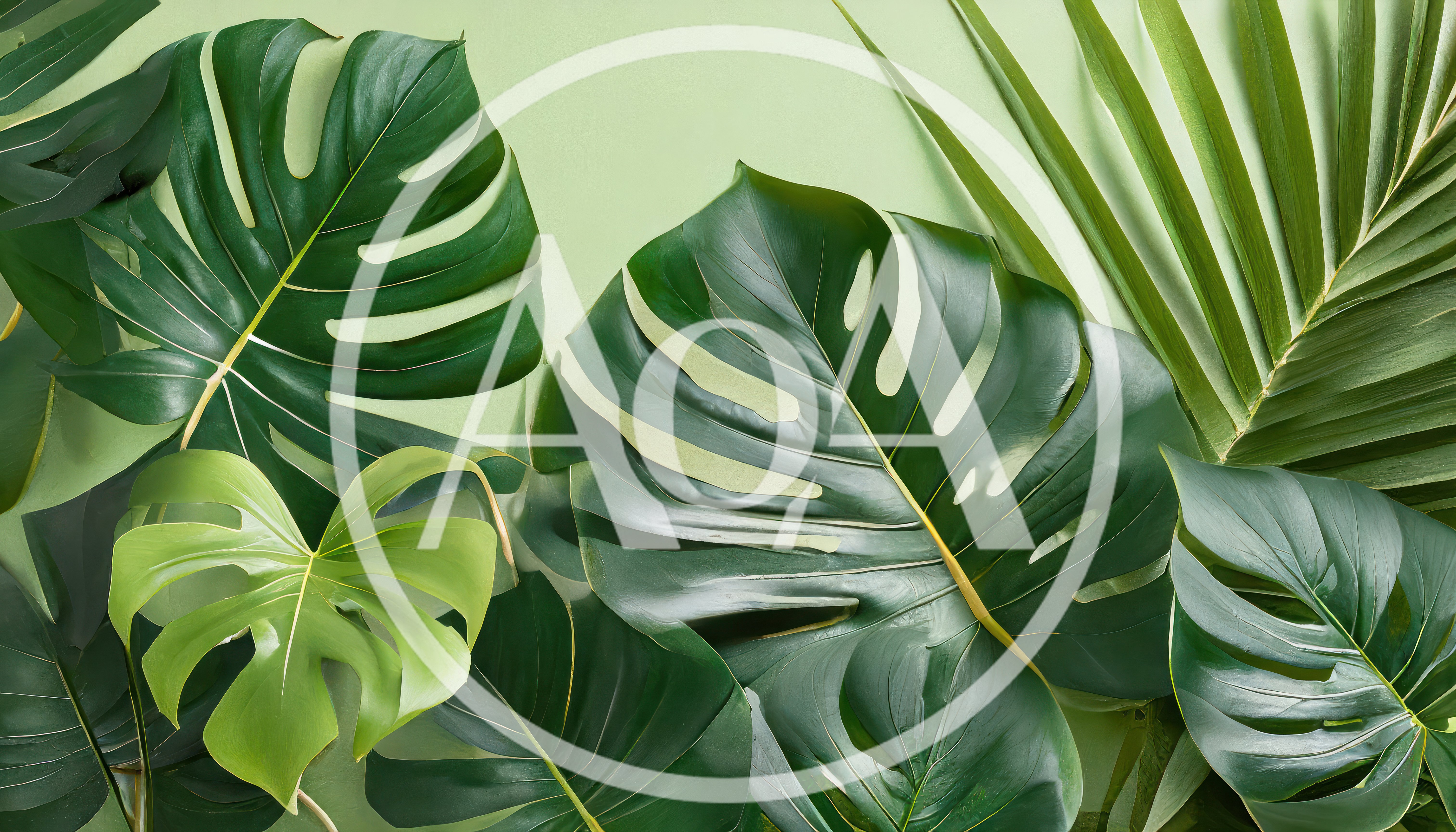 Tropical Monstera And Palm Leaves On Green Background