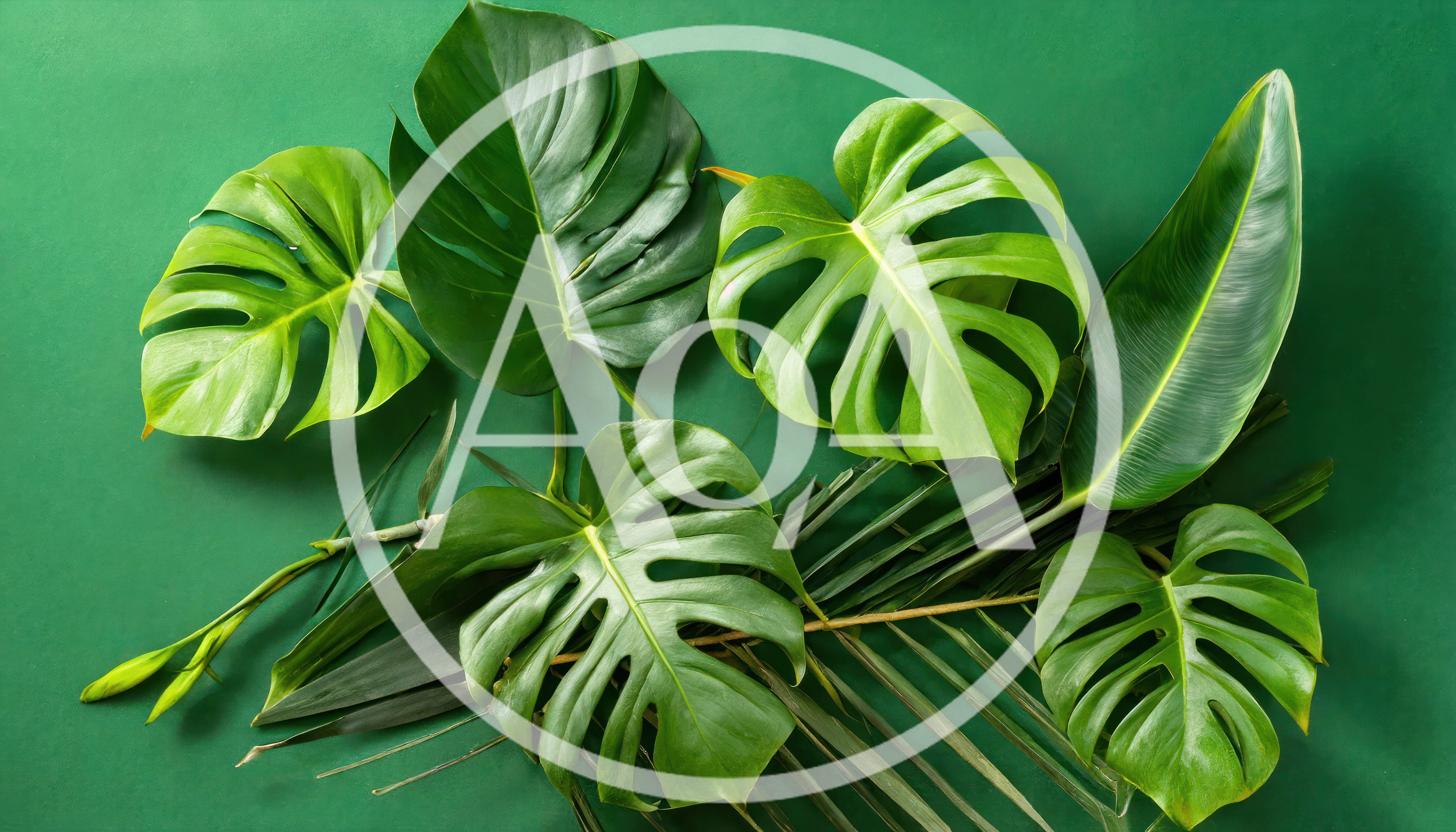 Assorted Tropical Monstera And Palm Leaves On Green Background