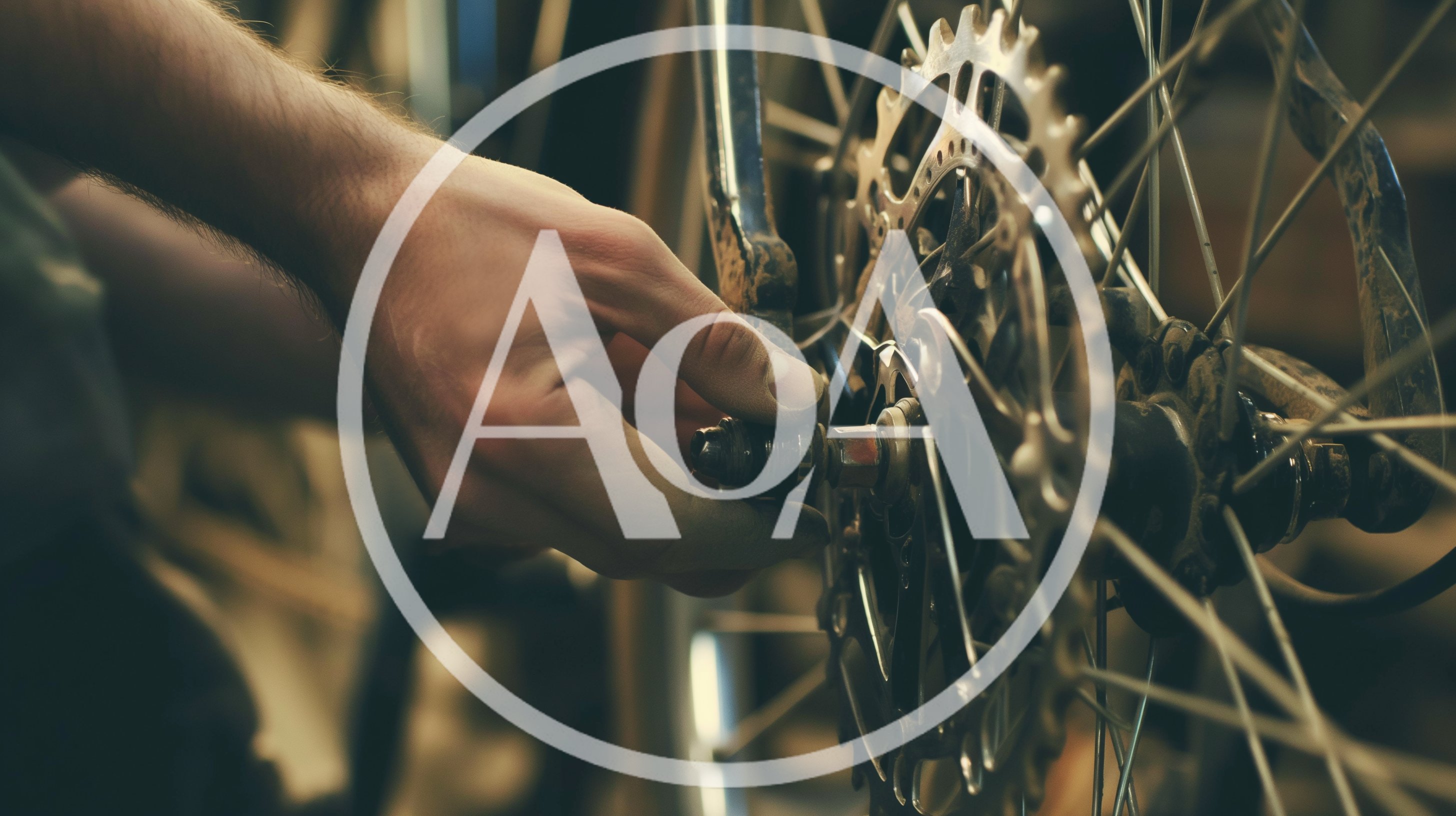 Mechanic Adjusting Bicycle Rear Wheel Hub