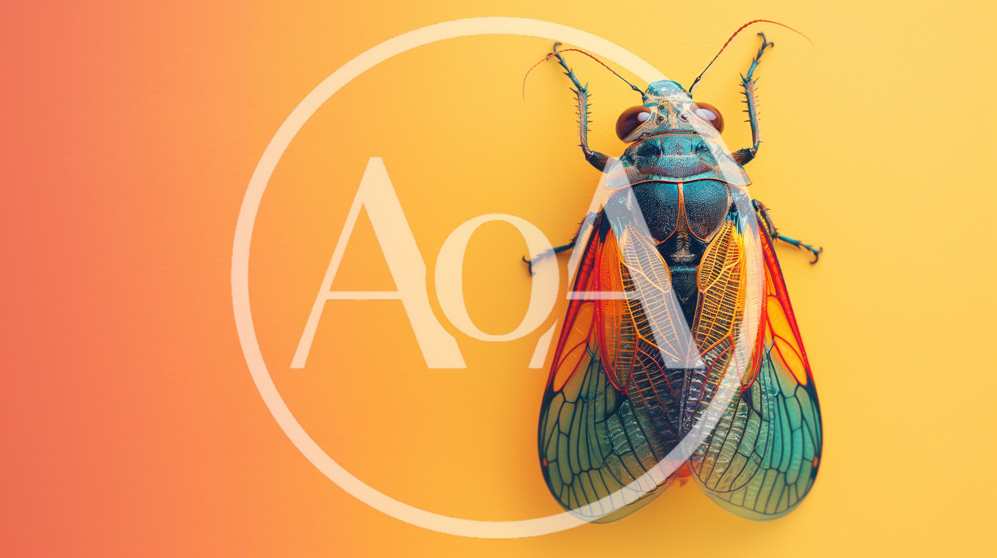 Macro View Of A Colorful Cicada On Yellow Background