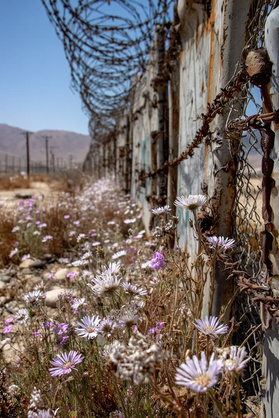 Wildflowers Growing Along A Rusty Barbed Wire Border Fence