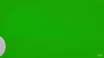 Black and Tan Dachshund Puppy Lower Third Animation – Cute Dog Pop-Up with green screen bg