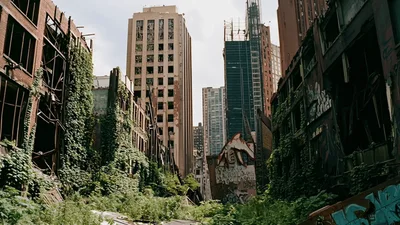 Post Apocalyptic City Street Overgrown With Vegetation