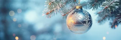 Silver Christmas Ornament Hanging On Snowy Pine Branch