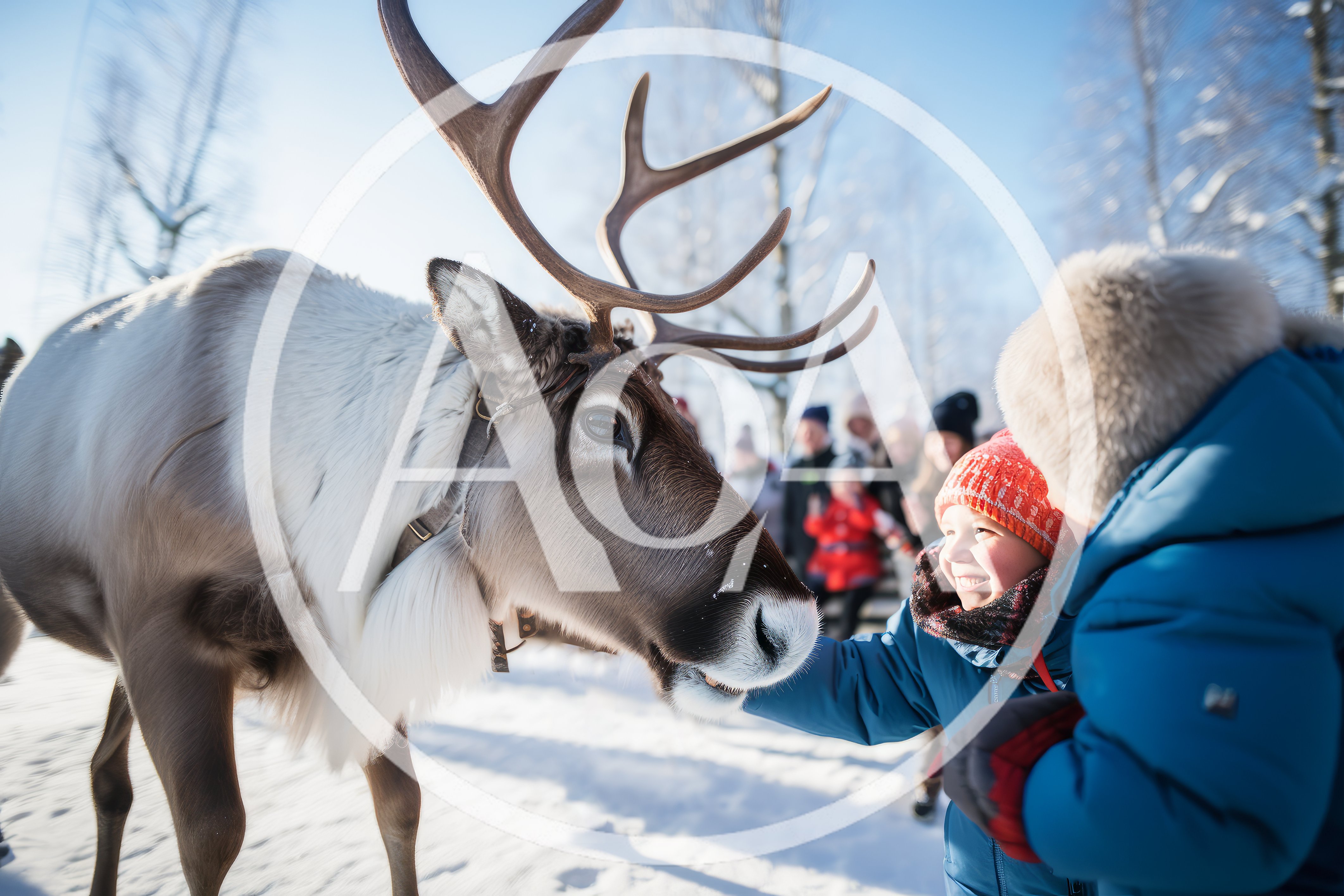 Child Feeding A Reindeer In Snowy Winter Landscape