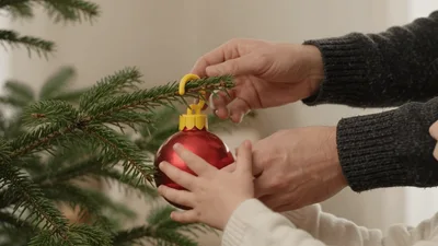 Parent and Child Decorating Christmas Tree with Ornament