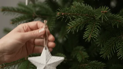 Child Handing White Star Ornament To Adult