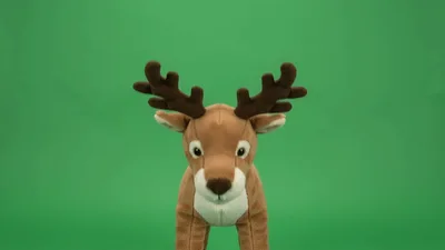Plush Reindeer Toy Moving Head On Green Screen