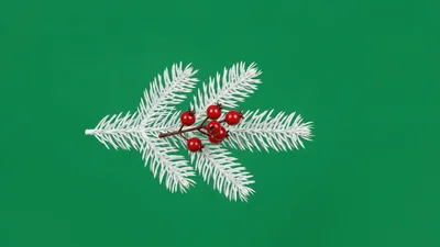 White Christmas Tree Branch With Red Berries Moving
