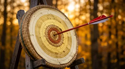 Archery Arrow Hitting The Center Of A Straw Target