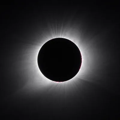 Total Solar Eclipse With Visible Solar Corona And Prominences
