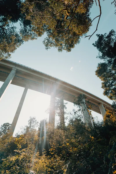 Concrete Highway Viaduct Bridge Over Forested Valley