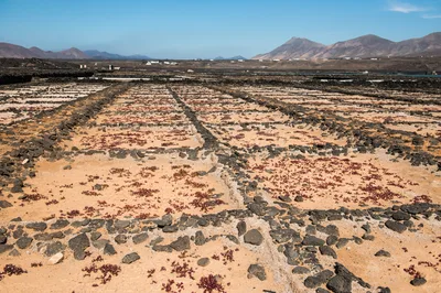 Salt Pans in Lanzarote Canary Islands