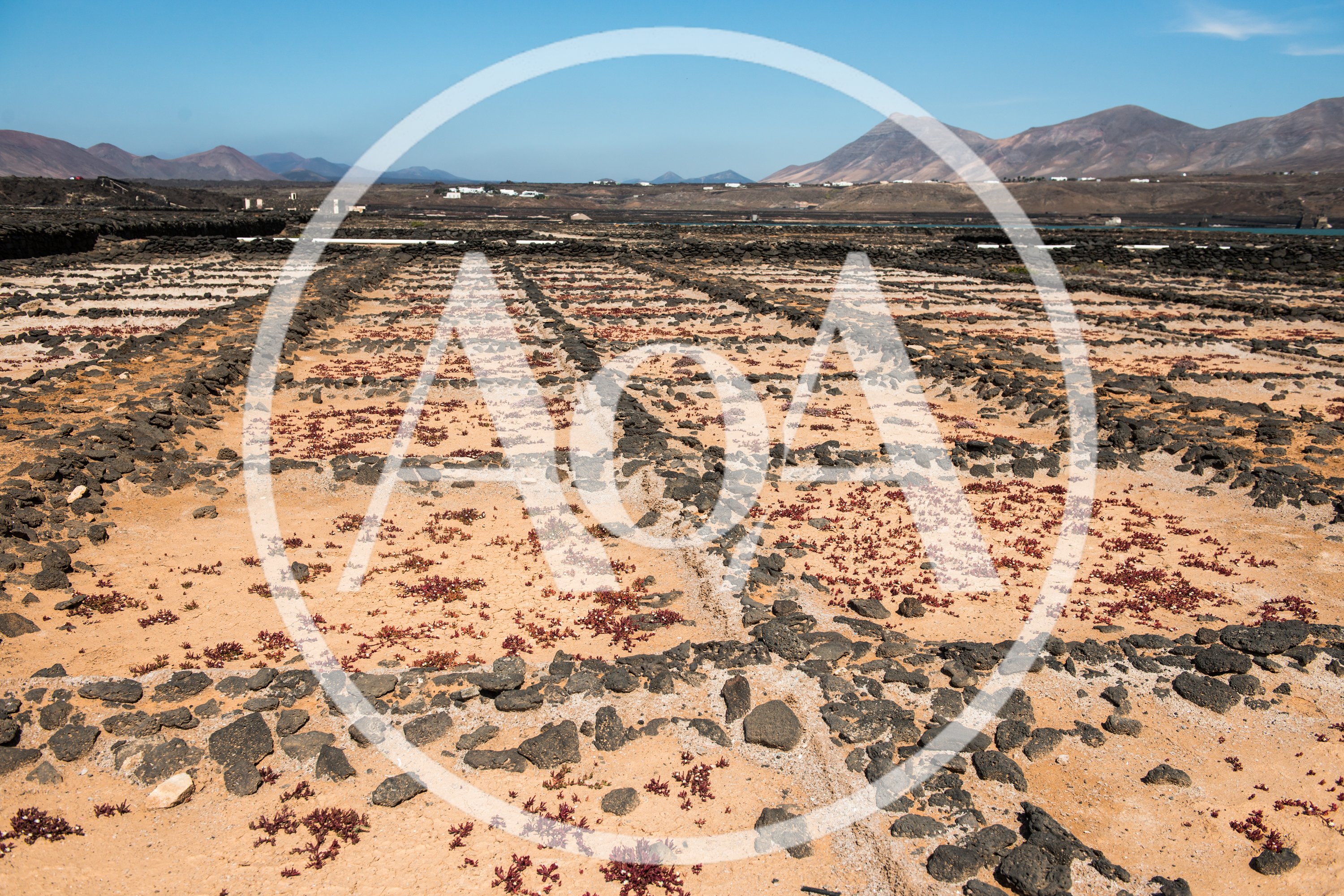 Salt Pans in Lanzarote Canary Islands