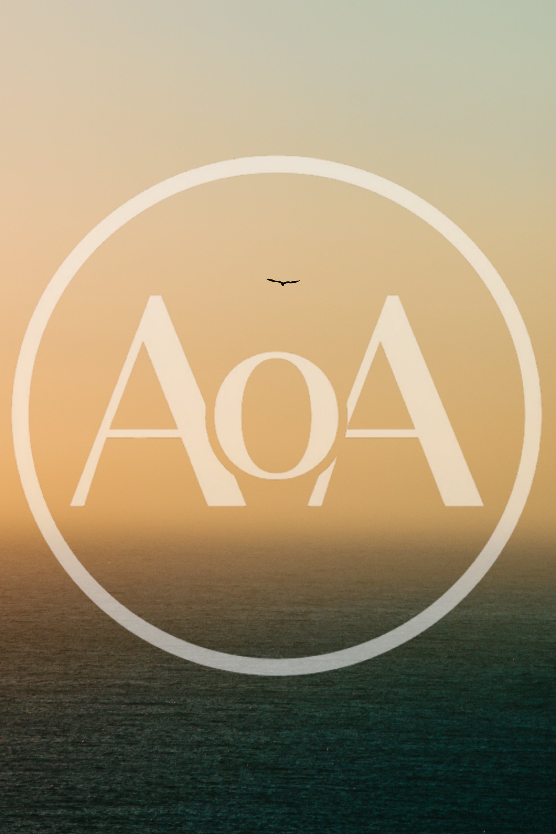Lone Bird Flying Over The Ocean At Sunset